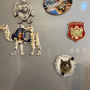 Hűtő mágnes szeretteidről   - kellékek & szerszámok - gyurma - műgyanta - Meska.hu