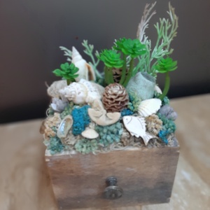 Kagylós asztaldísz , Otthon & Életmód, Dekoráció, Asztal és polc dekoráció, Bonsai, , MESKA