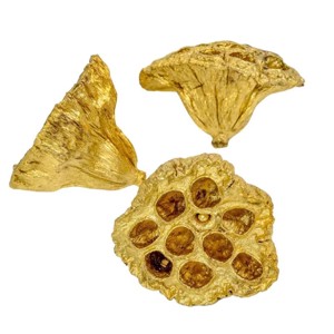 Lótusz 5-8 cm - arany, Kellékek & szerszámok, Dekorációs kellékek, Termések, terméscsomagok, , MESKA