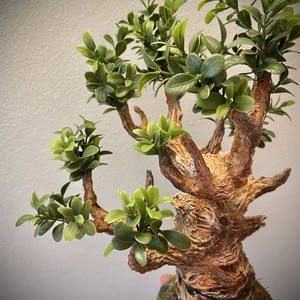 Kézműves bonsai fa � Egyedi dekoráció - otthon & életmód - dekoráció - asztal és polc dekoráció - asztaldísz - Meska.hu