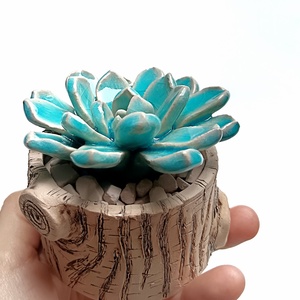 Kerámia pozsgás farönkben - Meska.hu