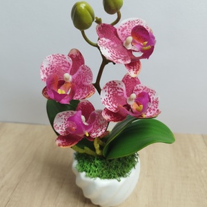 Orchidea kaspóban  - otthon & életmód - dekoráció - asztal és polc dekoráció - asztaldísz - Meska.hu