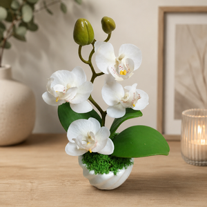 Orchidea kaspóban fehér  - Meska.hu