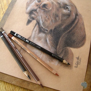 Rendelhető kutya portré - digitális fénykép alapján készült A4 méretű, ceruzával készült grafika -  - Meska.hu