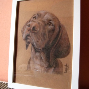 Rendelhető kutya portré - digitális fénykép alapján készült A4 méretű, ceruzával készült grafika -  - Meska.hu