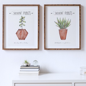 Succulent akvarell kép, vintage fali dekoráció - otthon & életmód - dekoráció - kép & falikép - poszter - Meska.hu