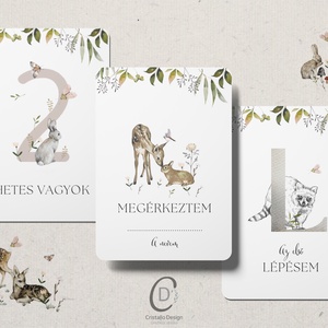 Cristallodesign
