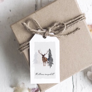 Karácsonyi ajándékkísérő, ajándékátadó címke szett 5 db, téli erdei állatos - karácsony - karácsonyi ajándékozás - karácsonyi képeslap, üdvözlőlap, ajándékkísérő - Meska.hu