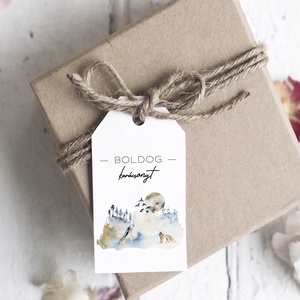 Karácsonyi ajándékkísérő, ajándékátadó címke szett 6 db - karácsony - karácsonyi ajándékozás - karácsonyi képeslap, üdvözlőlap, ajándékkísérő - Meska.hu