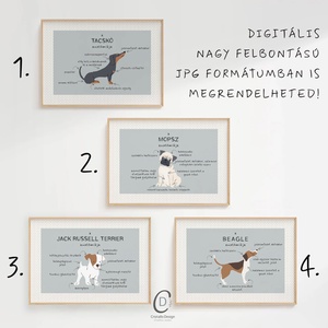 Kutya anatómia poszter, vicces kutyás falikép, dekoráció - otthon & életmód - dekoráció - kép & falikép - poszter - Meska.hu