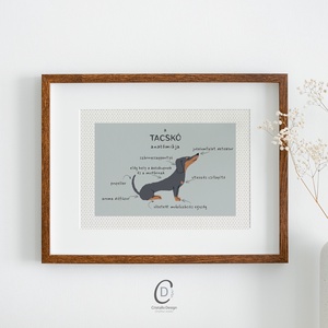 Kutya anatómia poszter, vicces kutyás falikép, dekoráció - otthon & életmód - dekoráció - kép & falikép - poszter - Meska.hu