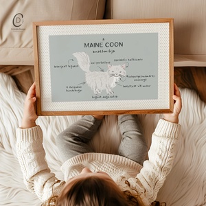 A macska anatómiája poszter, vicces cicás falikép, dekoráció, Otthon & Életmód, Kisállatoknak, Cicáknak & Macskáknak, Fotó, grafika, rajz, illusztráció, MESKA