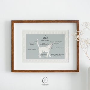 A macska anatómiája poszter, vicces cicás falikép, dekoráció - otthon & életmód - kisállatoknak - cicáknak & macskáknak - Meska.hu