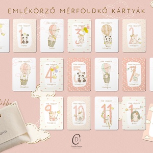 Mérföldkő kártya, erdei állatos emlékörző kártyák, baba box, 17 db - baba - mama - babafotózás - baba mérföldkő kártyák - Meska.hu