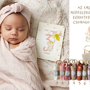 Mérföldkő kártya, erdei állatos emlékörző kártyák, baba box, 17 db - Meska.hu