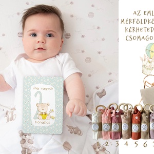 Mérföldkő kártya, erdei állatos emlékörző kártyák, baba box, 17 db - Meska.hu