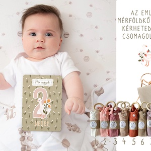 Mérföldkő kártya, kis libás emlékörző kártyák, baba box, 17 db - Meska.hu
