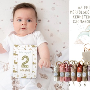 Mérföldkő kártya, dinos emlékörző kártyák, baba box, 17 db - baba - mama - babafotózás - baba mérföldkő kártyák - Meska.hu
