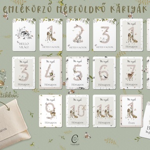 Mérföldkő kártya, erdei állatos, baba box 16 db - baba - mama - babafotózás - baba mérföldkő kártyák - Meska.hu
