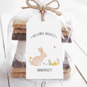 Húsvéti ajándékkísérő, nyuszis ajándékátadó címke szett 6 db - otthon & életmód - papír, írószer - ajándékozás kellékei - ajándékkísérő - Meska.hu