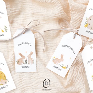 Húsvéti ajándékkísérő, nyuszis ajándékátadó címke szett 6 db - otthon & életmód - papír, írószer - ajándékozás kellékei - ajándékkísérő - Meska.hu