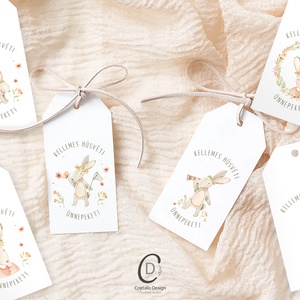 Húsvéti ajándékkísérő, nyuszis ajándékátadó címke szett 6 db - otthon & életmód - papír, írószer - ajándékozás kellékei - ajándékkísérő - Meska.hu