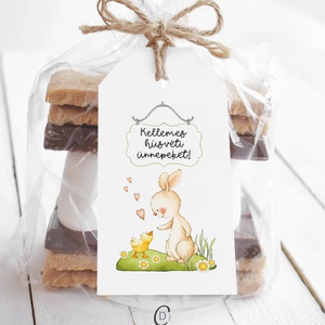 Húsvéti ajándékkísérő, nyuszis ajándékátadó címke szett 6 db - otthon & életmód - papír, írószer - ajándékozás kellékei - ajándékkísérő - Meska.hu
