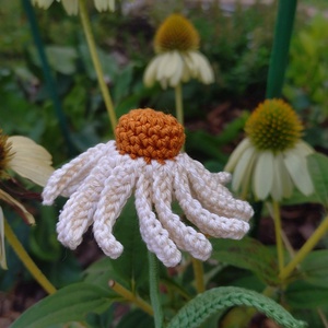 Horgolt echinacea - Meska.hu