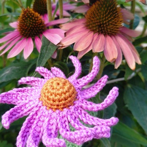 Horgolt echinacea - otthon & életmód - dekoráció - virágdísz és tartó - csokor & virágdísz - Meska.hu