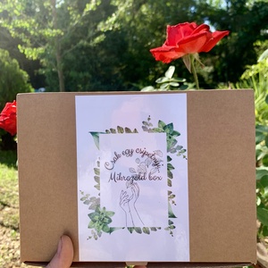 Mikrozöld box 1. - diy (csináld magad) - egységcsomag - Meska.hu