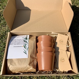 Fűszer box, DIY (Csináld magad), Egységcsomag, , MESKA