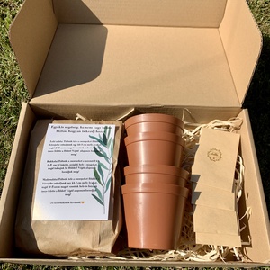 Saláta box - diy (csináld magad) - egységcsomag - Meska.hu