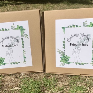 Saláta box , DIY (Csináld magad), Egységcsomag, , MESKA