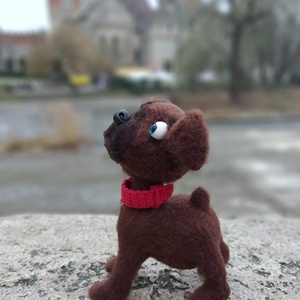 Kíváncsi kiskutya. - Meska.hu