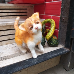 Egy elveszett cica. - Meska.hu