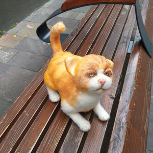 Egy elveszett cica. - játék & sport - plüssállat & játékfigura - cica - Meska.hu