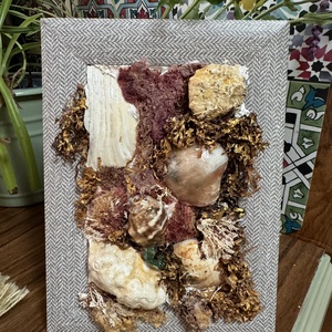 Tengerparti kép kagylós/ Seaside picture with shells -  - Meska.hu