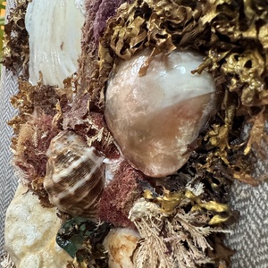 Tengerparti kép kagylós/ Seaside picture with shells -  - Meska.hu