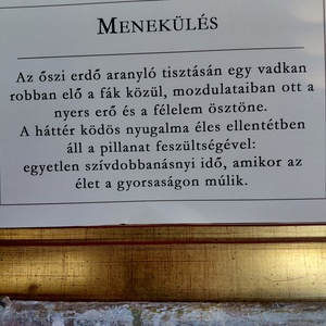 Menekülés 40x30cm - művészet - festmény - olajfestmény - Meska.hu