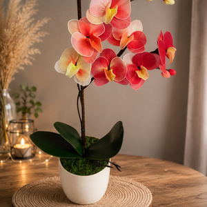 Orchidea dekor kaspóban - Meska.hu