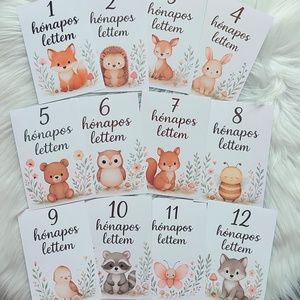 Baba hónapkártya szett -Erdei állatok (1-12) hónap - baba - mama - babafotózás - baba mérföldkő kártyák - Meska.hu