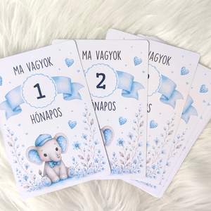 Elefántos, baba hónapkártya szett � 1�12 hónap 10�15 cm  - Meska.hu