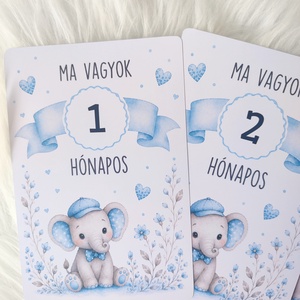 Elefántos, baba hónapkártya szett � 1�12 hónap 10�15 cm  - baba - mama - babafotózás - baba mérföldkő kártyák - Meska.hu