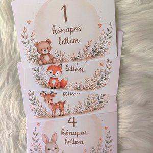 Állatos  baba hónapkártya szett � 1�12 hónap 10�15 cm  - Meska.hu