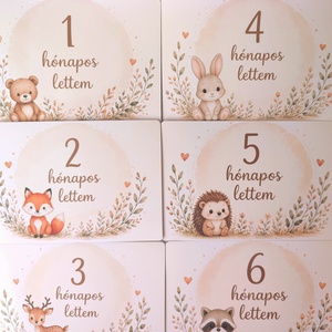 Állatos  baba hónapkártya szett � 1�12 hónap 10�15 cm  - baba - mama - babafotózás - baba mérföldkő kártyák - Meska.hu