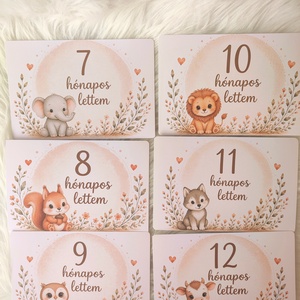 Állatos  baba hónapkártya szett � 1�12 hónap 10�15 cm  - baba - mama - babafotózás - baba mérföldkő kártyák - Meska.hu