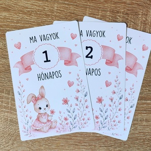 Kislányos baba hónapkártya szett � 1�12 hónap 10�15 cm  - Meska.hu
