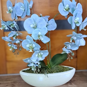 Élethű orchidea asztaldísz magasfényű kaspóban menta - otthon & életmód - dekoráció - asztal és polc dekoráció - asztaldísz - Meska.hu Élethű orchidea asztaldísz magasfényű kaspóban menta - otthon & életmód - dekoráció - asztal és polc dekoráció - asztaldísz - Meska.hu