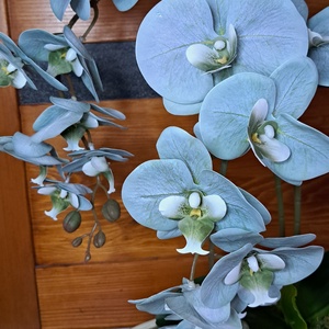 Élethű orchidea asztaldísz magasfényű kaspóban menta - otthon & életmód - dekoráció - asztal és polc dekoráció - asztaldísz - Meska.hu Élethű orchidea asztaldísz magasfényű kaspóban menta - otthon & életmód - dekoráció - asztal és polc dekoráció - asztaldísz - Meska.hu