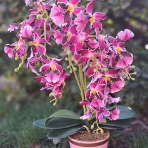 Élethű orchidea asztaldísz pink-arany kaspóban - otthon & életmód - virágdekoráció - virágdíszek - virágdísz kaspóban - Meska.hu